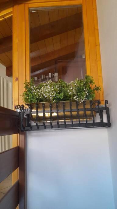 Casa Mario Apartment Riva del Garda Bagian luar foto